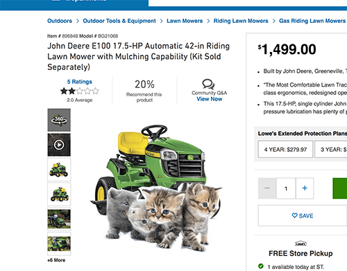 kittens in ecommerce